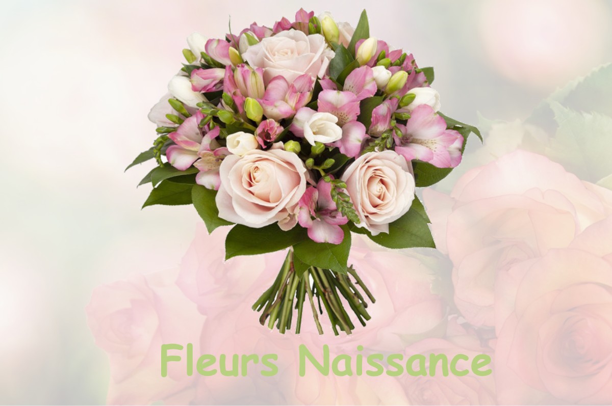 fleurs naissance LA-LOUPE