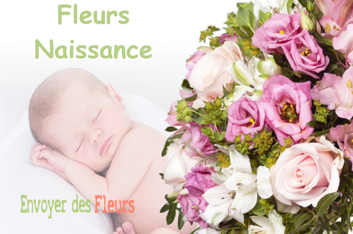 lIVRAISON FLEURS NAISSANCE à LA-LOUPE